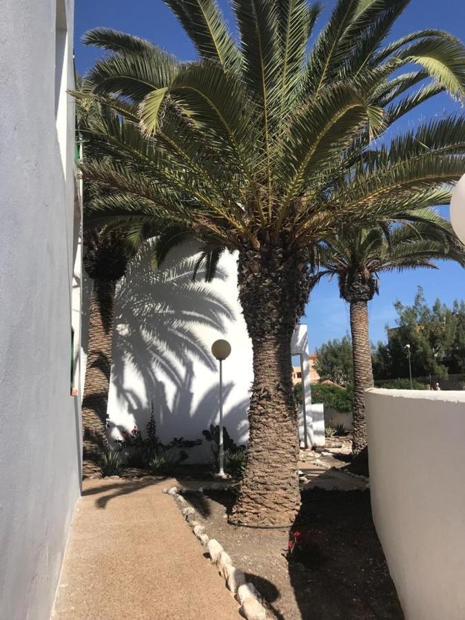 Casa Palmera 科斯塔德安提瓜 外观 照片
