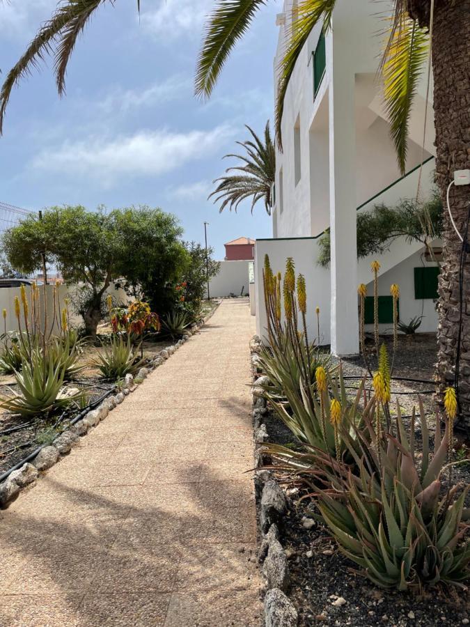 Casa Palmera 科斯塔德安提瓜 外观 照片